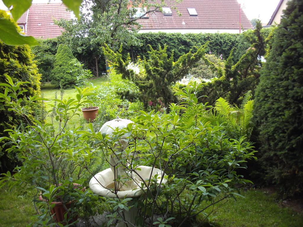 Storchennest Grosswudicke Exterior foto